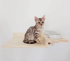 Prateleira comedouro elevado para gatos - gatificação pet art
