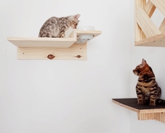 Prateleira comedouro elevado para gatos - gatificação pet art na internet