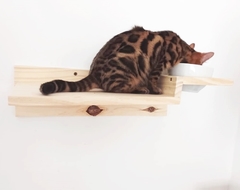 Prateleira comedouro elevado para gatos - gatificação pet art - loja online