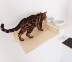 Prateleira comedouro elevado para gatos - gatificação pet art - loja online
