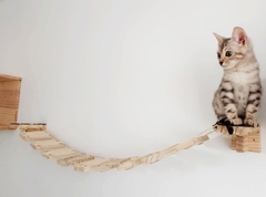 Um gato em um playground de madeira, sentado em uma plataforma, com uma ponte de madeira ao fundo.