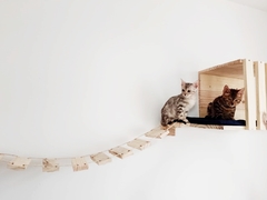 Dois gatos brincando em um playground de madeira, com uma ponte suspensa e uma caixa ao fundo.