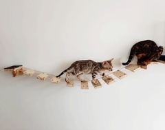 Dois gatos brincando em um playground de madeira montado na parede, com prateleiras em forma de ponte.