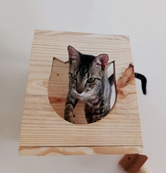 Imagem do Playground para gatos Eco cama 2.0, 13 peças