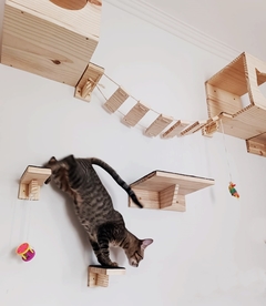 Gatil de parede - playground de parede para gatos super completo- playgroud garfield 16 pçs - comprar online