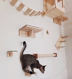 Gatil de parede - playground de parede para gatos super completo- playgroud garfield 16 pçs - Gatificação Pet Art - playground para gatos, marcenaria para animais. Melhores preços 