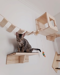 Gatil de parede - playground de parede para gatos super completo- playgroud garfield 16 pçs - loja online
