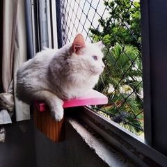Prateleira de janela para gatos-gatificaçao personalizada, Pet Art