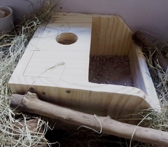 Caixa de areia para pequenos roedores- roedificacao, enriquecimento ambiental na internet