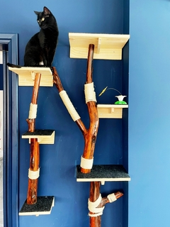 Árvore natural arranhadora para gatos, gatificaçao personalizada, prateleiras para gatos