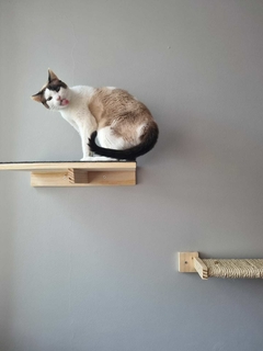 Prateleira para gatos, gatificação - verticalização personalizada, peças para playground de gatos em madeira maciça na internet