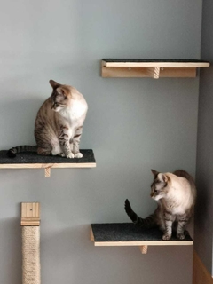 Prateleira para gatos, gatificação - verticalização personalizada, peças para playground de gatos em madeira maciça