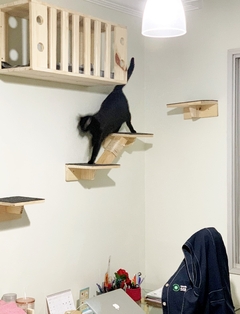 Um gato preto brincando em um playground para gatos com prateleiras de madeira na parede.