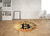 Tapete Sala Veludo Redondo Decorativo Bitcoin Almofadageek 90x90cm - TPT003 - comprar online