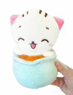 Gatos en taza kawaii en internet