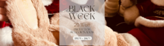 Banner da categoria BLACK WEEK