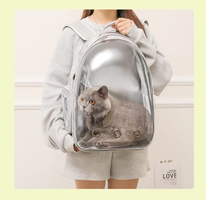 mochila para Gato