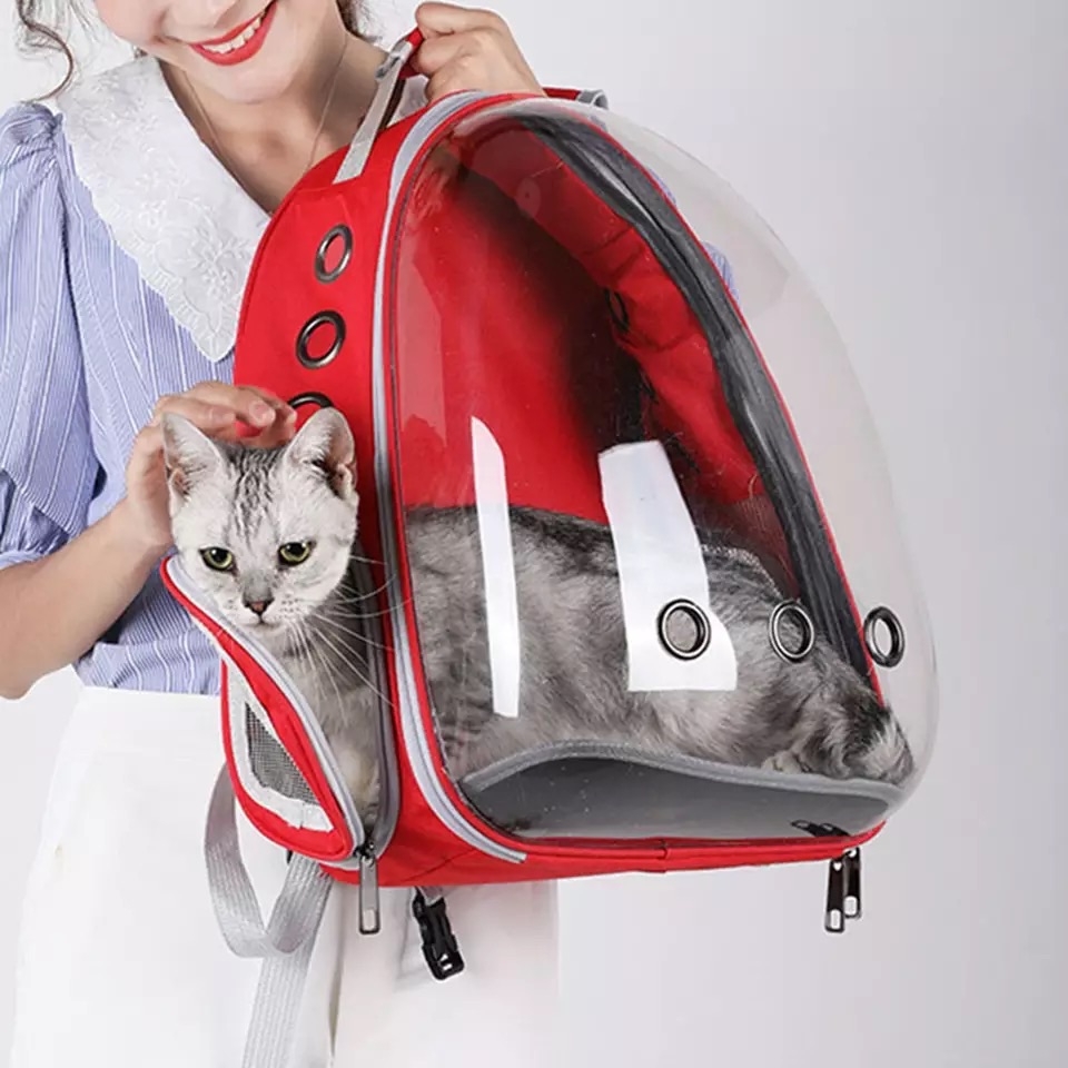 mochila para Gato