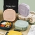 LUNCH BOX (3 DIVISIONES) - tienda online