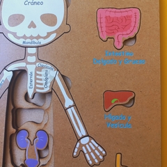 Encastre rompecabezas del cuerpo humano en internet