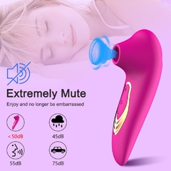 Vibrador Feminino para Clitóris e Mamilo, Estimulador para Mulheres, Vibrador estimulador de orgasmo. na internet