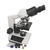 Microscopio Binocular Acromático. Fl21-Ba (Firstlab)