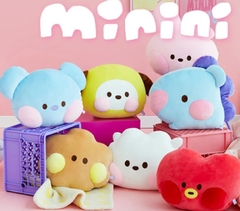 Almohadón grande BT21 Minini