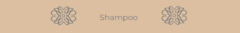 Banner de la categoría Shampoo