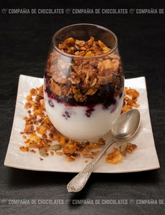 Yogur con Frutas y Granola