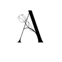 Logo de ÂMBAR ACESSÓRIOS
