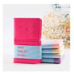 Mini Smiley Diary