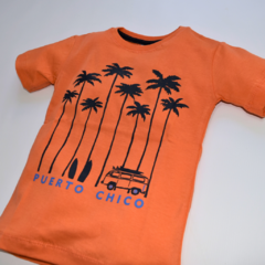 REMERA NIÑO PALMERAS - comprar online