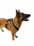 Pretal H Táctico - Natcan · Accesorios para perros · Diseñados por profesionales caninos
