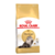 ROYAL CANIN PERSIAN 1.5KG - comprar online