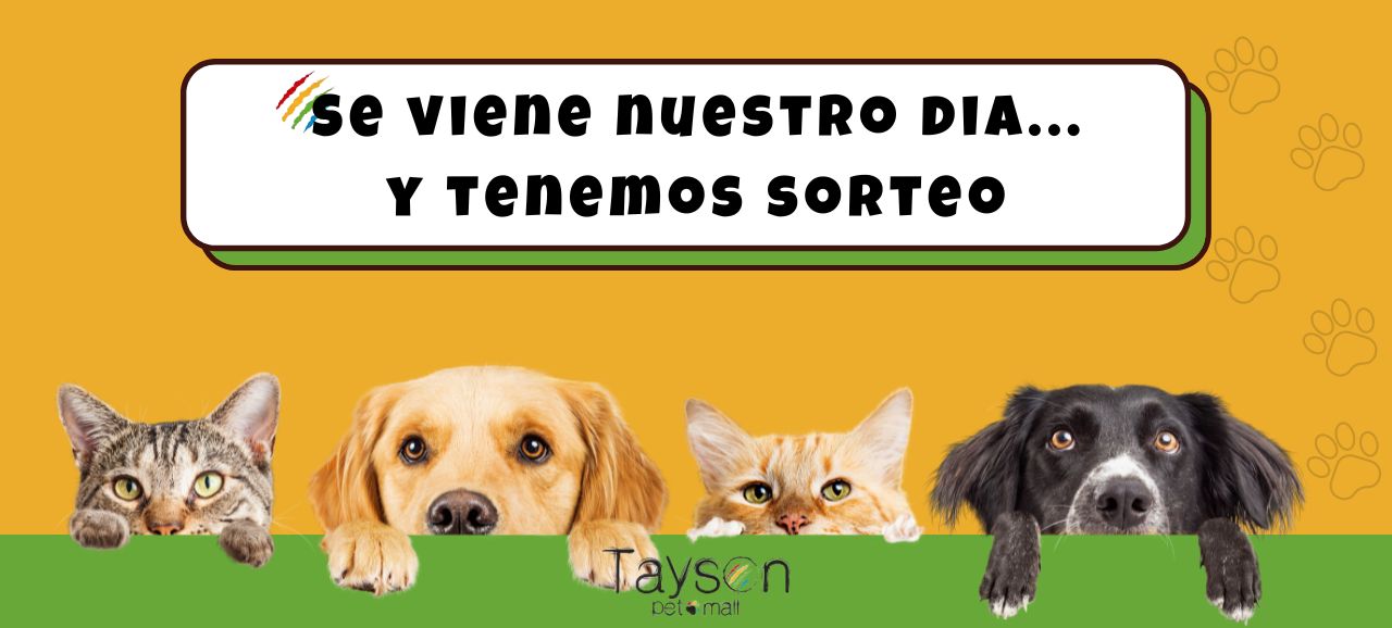 Imagen del carrusel TAYSON PET 