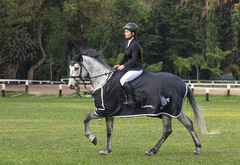 Banner da categoria Cavalos e Cocheira