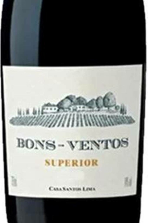 Vinho Português Tinto Bons Ventos Superior 750ml - comprar online