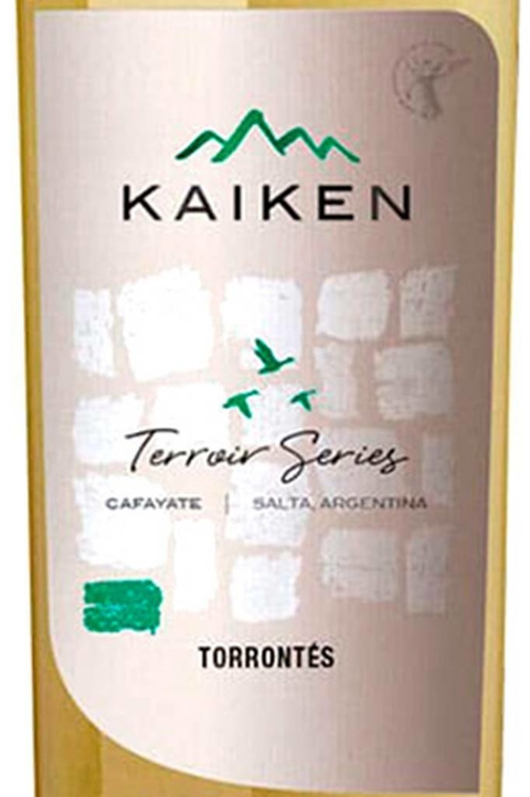 Vinho Argentino Branco Kaiken Terroir Series Torrontes 750ml - comprar online