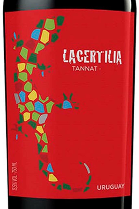 Vinho Braccobosca Lacertilia Tannat 750ml - EMPÓRIO ITIÊ