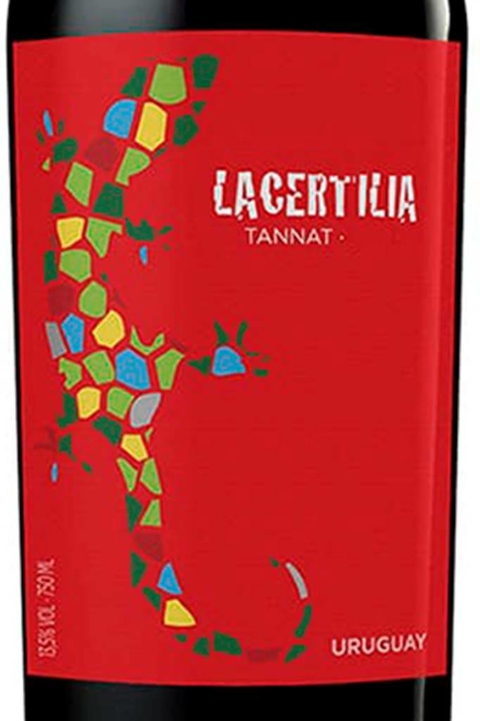 Vinho Braccobosca Lacertilia Tannat 750ml - comprar online