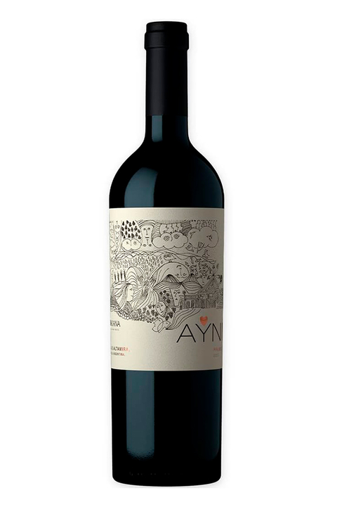 Vinho Argentino Tinto Ayni Malbec 750ml