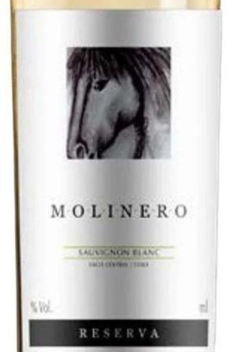 Vinho Chileno Branco Molinero Sauvignon Blanc Reserva 750ml - comprar online
