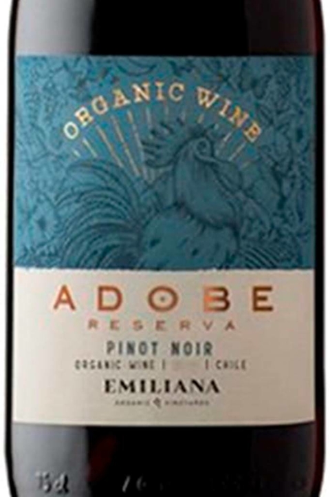 Vinho Adobe Pinot Noir Organico Reserva 750ml - comprar online