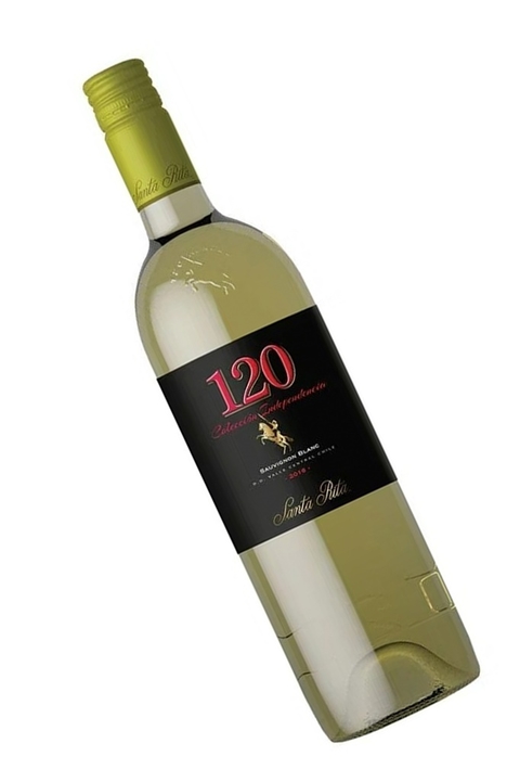 Vinho Chileno Branco 120 Coleccion Independencia Sauvignon Blanc 750ml na internet
