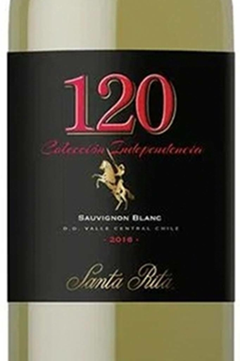 Vinho Chileno Branco 120 Coleccion Independencia Sauvignon Blanc 750ml - comprar online