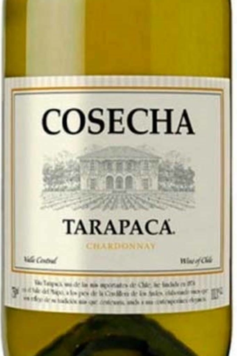 Vinho Chileno Branco Tarapaca Cosecha Chardonnay 750ml - comprar online