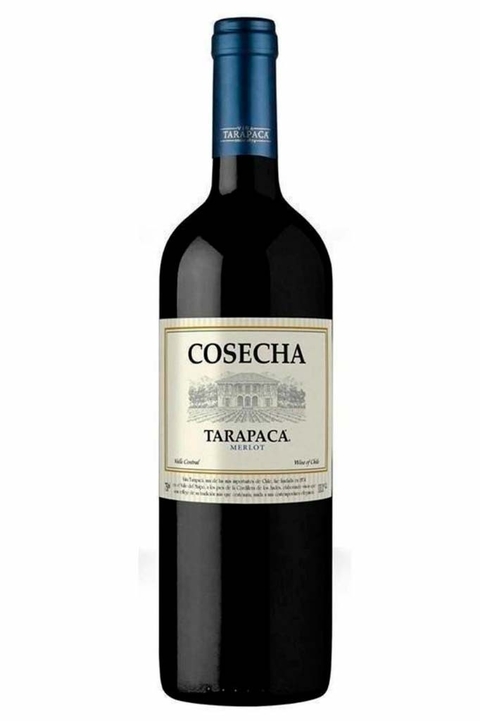 Vinho Chileno Tinto Tarapaca Cosecha Merlot 750ml