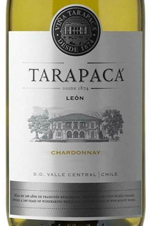 Vinho Chileno Branco Tarapaca Leon Chardonnay 750ml - comprar online
