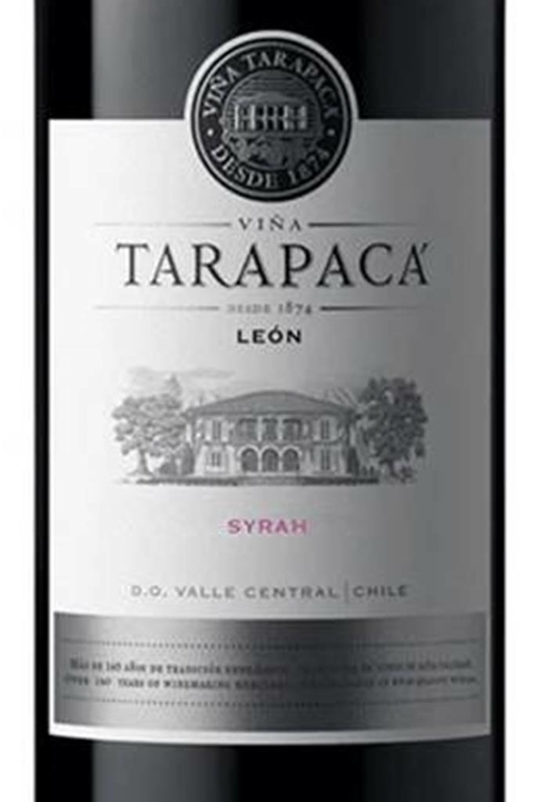 Vinho Chileno Tinto Tarapacá Leon Syrah 750ml - comprar online