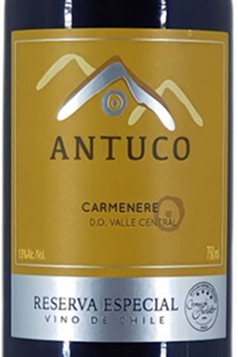 Vinho Chileno Tinto Antuco Carmenere Reserva 750ml - comprar online